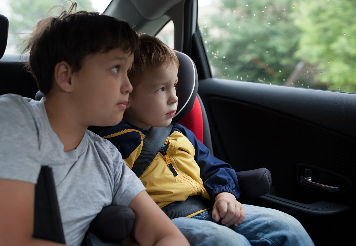 Boys looking out the car window